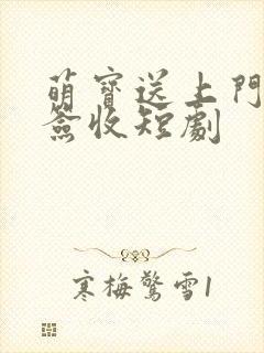 萌宝送上门爹地签收短剧