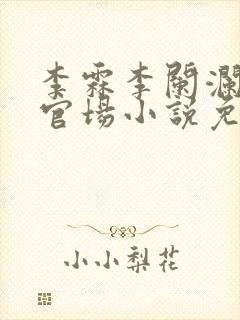 李霖李阑澜巅峰官场小说免费阅读