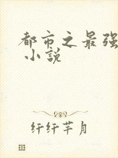 都市之最强狂兵 小说
