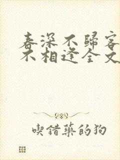 春深不归客清梦不相逢全文免费阅读
