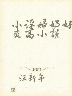 小淫妇奶好大好爽高小说