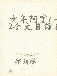 少年阿宾1一72全文目录在线