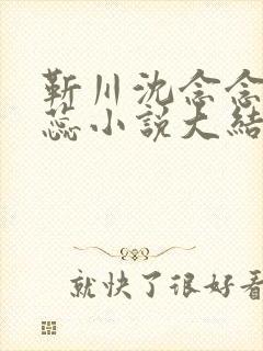 靳川沈念念孟娇蕊小说大结局免费