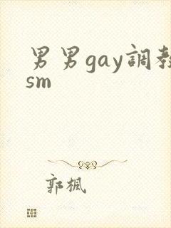 男男gay调教sm