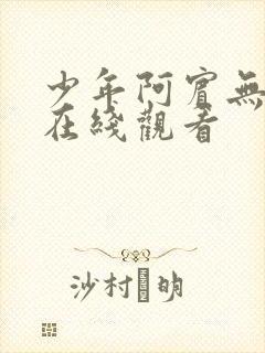 少年阿宾无删减在线观看封面