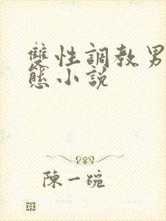 双性调教男奴变态小说