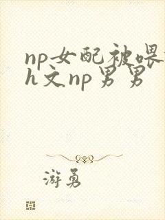 np女配被喂饱h文np男男封面