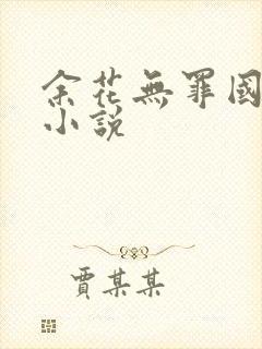余花无罪国度的小说封面