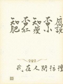 知否知否应是绿肥红瘦小说原著叫什么