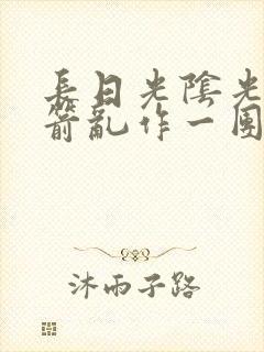 长日光阴光阴似箭乱作一团小说封面