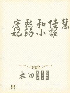 康熙和佳慧太子妃的小说