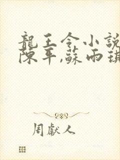 龙王令小说免费陈平,苏雨琪