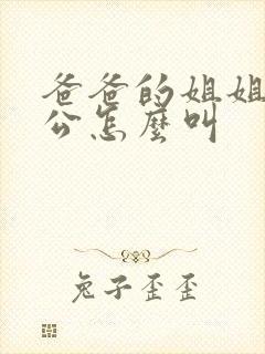 爸爸的姐姐的老公怎么叫