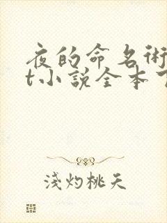 夜的命名术txt小说全本下载