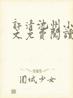 许清沈州小说全文免费阅读