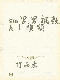 sm男男调教〈h丿视频封面