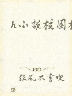 h小说校园校花