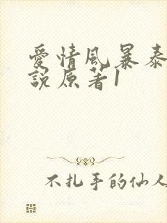爱情风暴泰国小说原著1