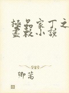 极品家丁之遗芳尽敕小说