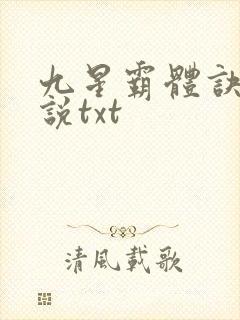 九星霸体诀 小说txt