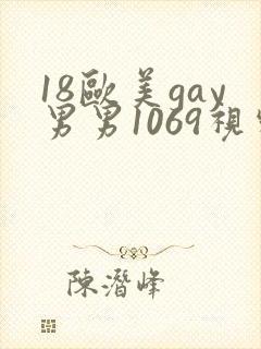 18欧美gay男男1069视频