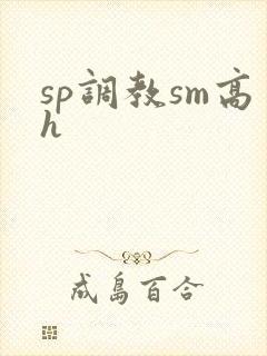 sp调教sm高h封面