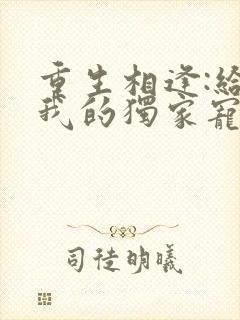 重生相逢:给你我的独家宠溺封面