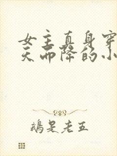 女主真身穿越从天而降的小说封面