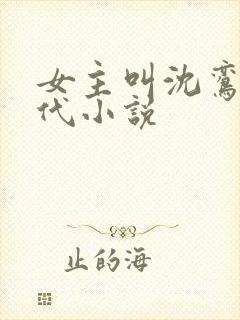 女主叫沈鸾的古代小说