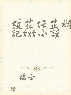 校花任芷娴的日记txt小说