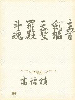 斗罗天剑主宰武魂殿圣枢首席封面