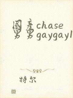 国产chase男男gaygay180网站