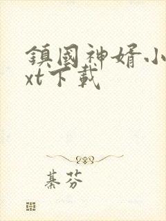 镇国神婿小说txt下载