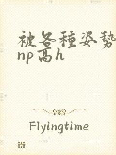 被各种姿势玩弄np高h