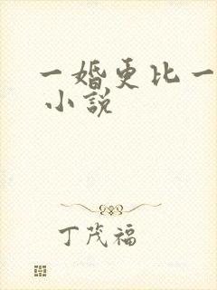 一婚更比一婚高 小说封面