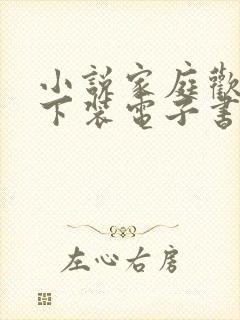 小说家庭欢乐夜下装电子书