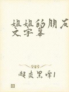 姐姐的朋友3中文字幕