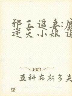 邪王追妻:废材逆天小姐 追书
