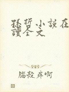 孙哲小说在线阅读全文封面