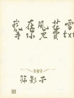 我在风花雪月里等你免费txt下载