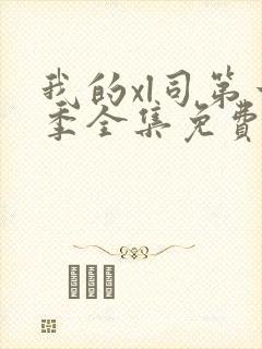 我的xl司第一季全集免费观看