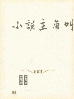 小说主角叫叶秋