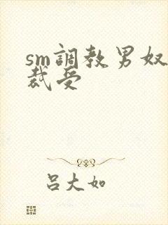 sm调教男奴总裁受