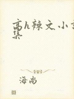 高h辣文小说合集封面
