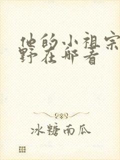 他的小祖宗甜又野在哪看