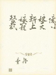 替嫁新娘亿万总裁宠上天 小说