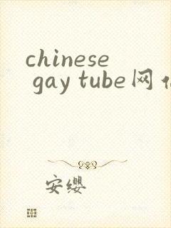 chinese gay tube网站
