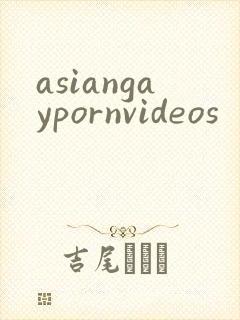 asiangaypornvideos