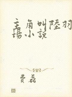 主角叫陆羽的官场小说封面