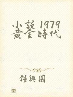 小说 1979黄金时代封面